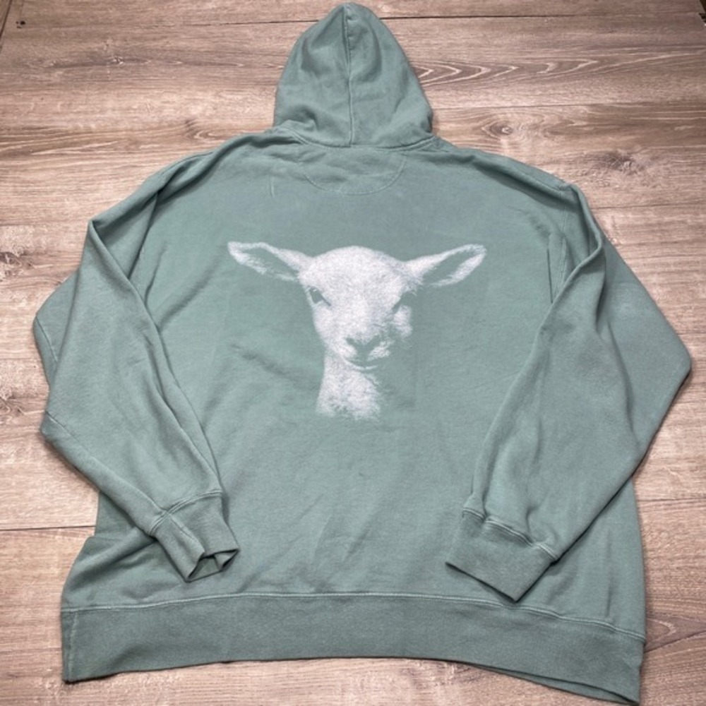 Elevation Worship Hoodie Mens XL Green Lion and the Lamb Graphic Sweatshirt